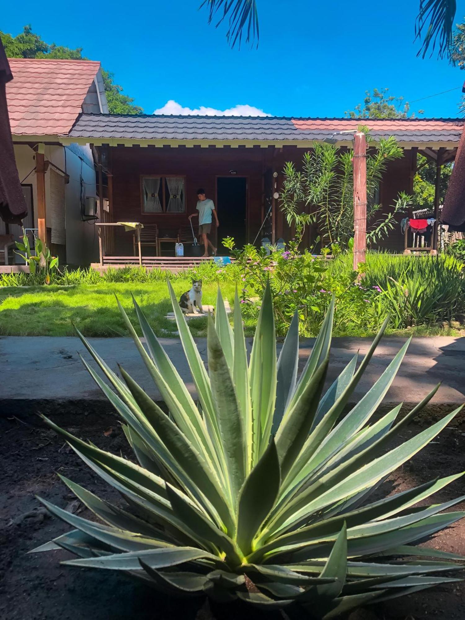 Leaf Coco Bungalow Gili Air Exterior photo